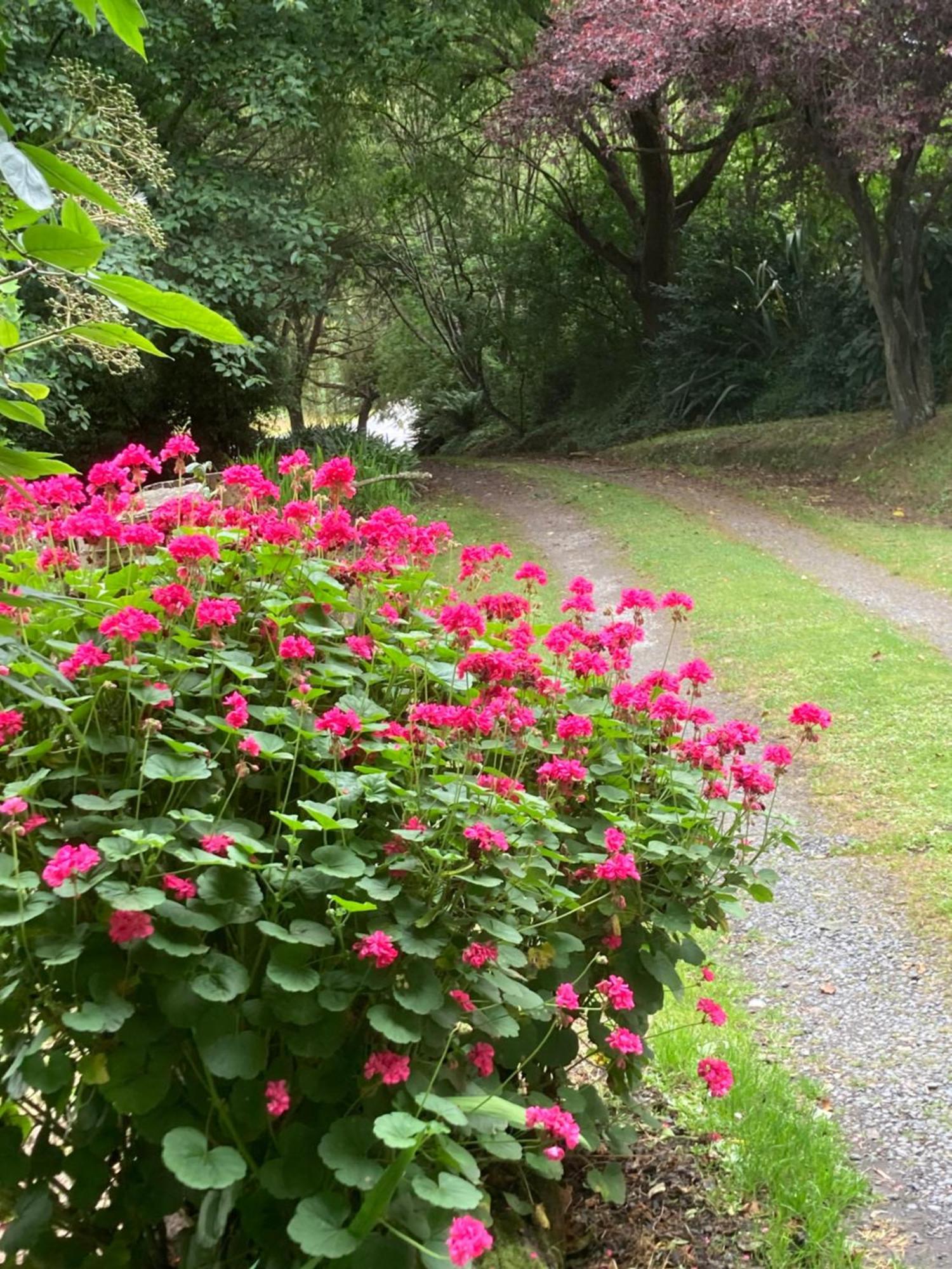 דנידין Arden Country House Bnb - Entire House To Yourself -Peace In The Country מראה חיצוני תמונה